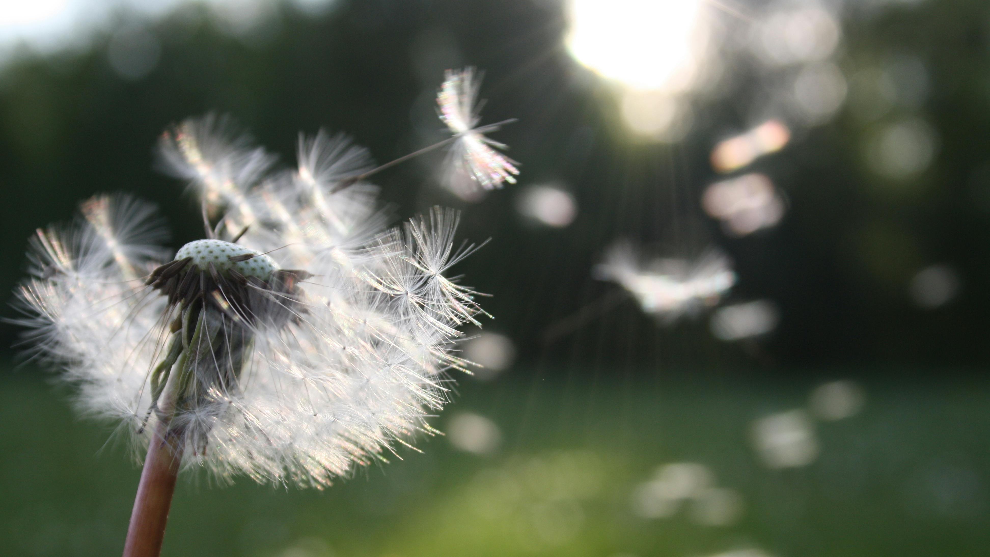 When to Let Go, and Let God (Are You Avoiding Surrender?)